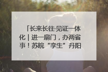 长来长往·见证一体化｜进一扇门，办两省事！苏皖“孪生”丹阳如何做到的？