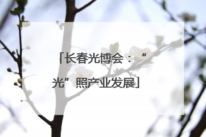 长春光博会：“光”照产业发展