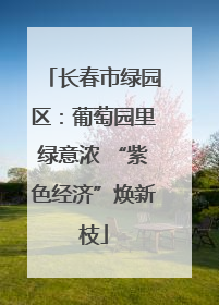 长春市绿园区：葡萄园里绿意浓 “紫色经济”焕新枝