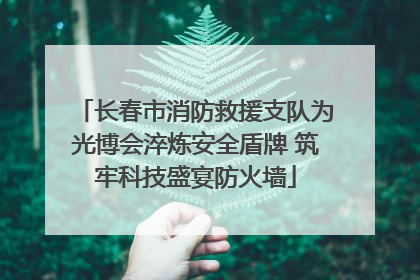 长春市消防救援支队为光博会淬炼安全盾牌 筑牢科技盛宴防火墙