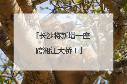 长沙将新增一座跨湘江大桥！