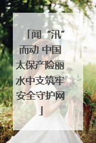 闻“汛”而动 中国太保产险丽水中支筑牢安全守护网