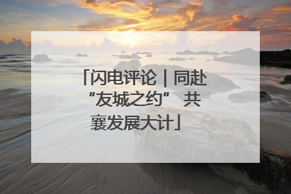 闪电评论｜同赴“友城之约” 共襄发展大计