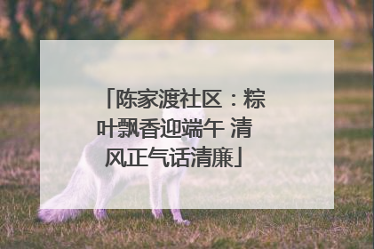 陈家渡社区：粽叶飘香迎端午 清风正气话清廉