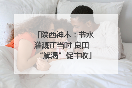 陕西神木：节水灌溉正当时 良田“解渴”促丰收