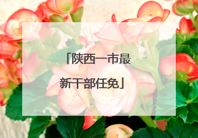 陕西一市最新干部任免