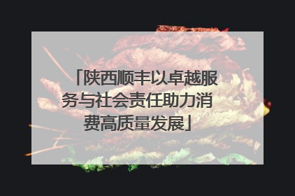 陕西顺丰以卓越服务与社会责任助力消费高质量发展