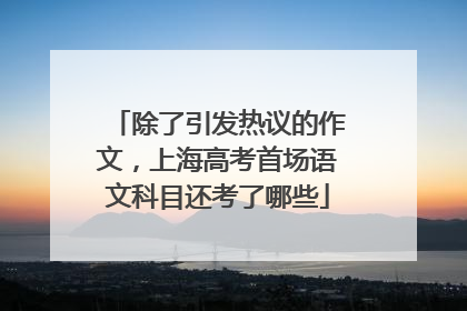 除了引发热议的作文，上海高考首场语文科目还考了哪些