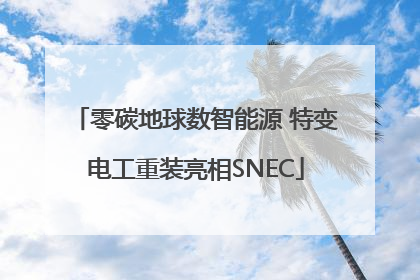 零碳地球数智能源 特变电工重装亮相SNEC