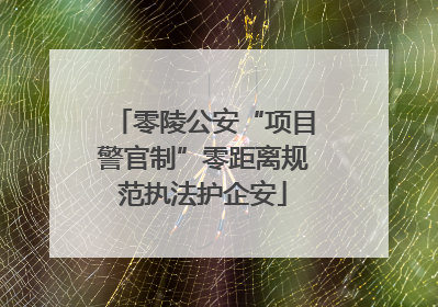 零陵公安“项目警官制”零距离规范执法护企安
