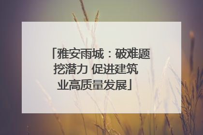 雅安雨城：破难题 挖潜力 促进建筑业高质量发展