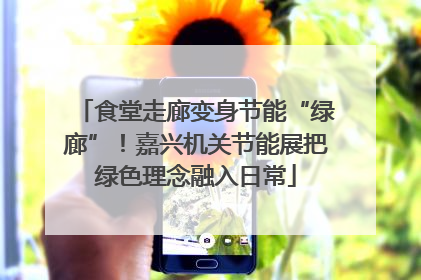 食堂走廊变身节能“绿廊”！嘉兴机关节能展把绿色理念融入日常