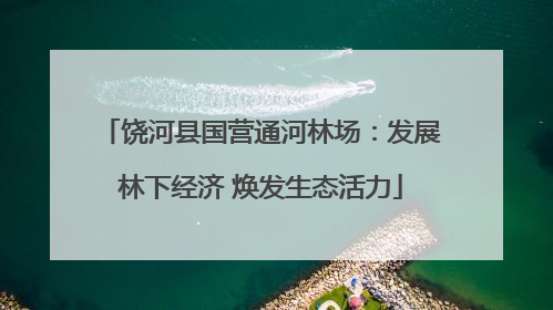 饶河县国营通河林场：发展林下经济 焕发生态活力