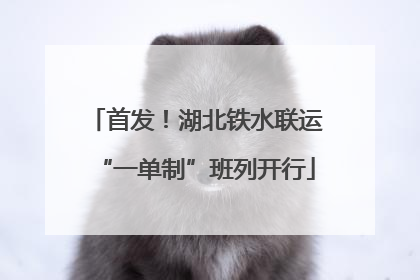 首发！湖北铁水联运“一单制”班列开行