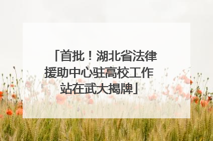 首批！湖北省法律援助中心驻高校工作站在武大揭牌
