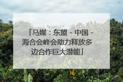 马媒：东盟－中国－海合会峰会助力释放多边合作巨大潜能