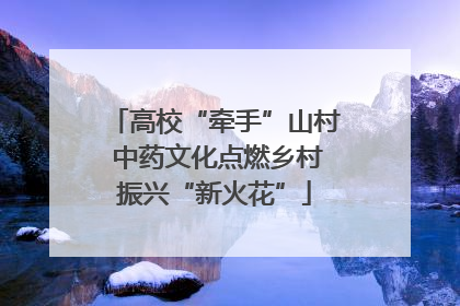 高校“牵手”山村 中药文化点燃乡村振兴“新火花”