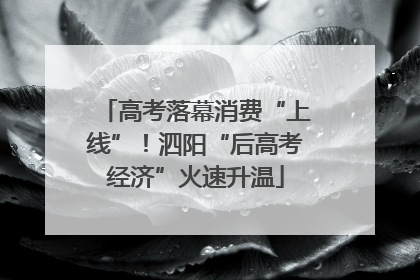 高考落幕消费“上线”！泗阳“后高考经济”火速升温