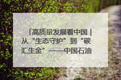 高质量发展看中国｜从“生态守护”到“碳汇生金”——中国石油大庆油田绿色蝶变