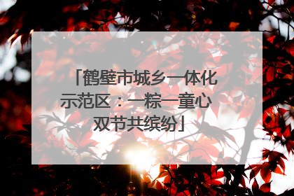 鹤壁市城乡一体化示范区：一粽一童心 双节共缤纷