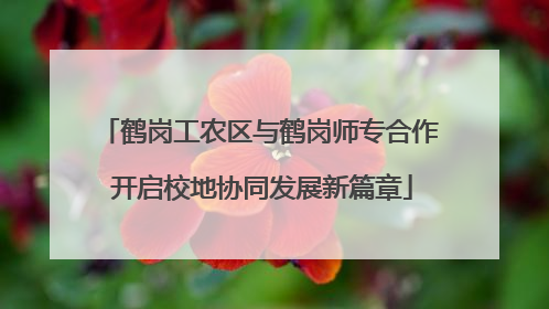 鹤岗工农区与鹤岗师专合作 开启校地协同发展新篇章
