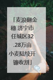 麦浪翻金穗 济宁市任城区32.28万亩小麦陆续开镰收割