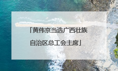 黄伟京当选广西壮族自治区总工会主席