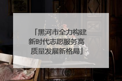 黑河市全力构建新时代志愿服务高质量发展新格局