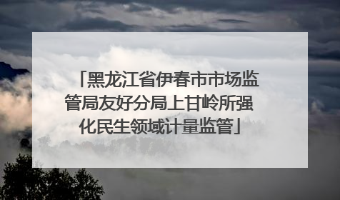 黑龙江省伊春市市场监管局友好分局上甘岭所强化民生领域计量监管