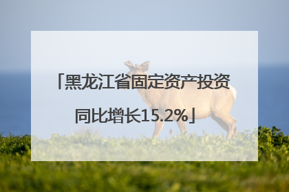 黑龙江省固定资产投资同比增长15.2%