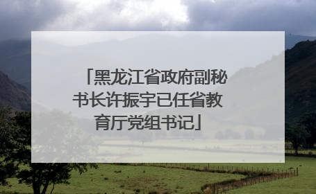 黑龙江省政府副秘书长许振宇已任省教育厅党组书记