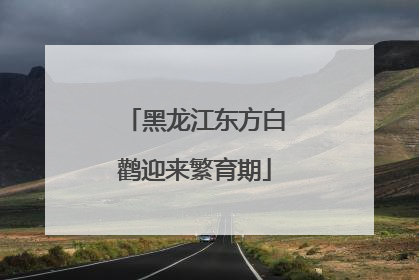 黑龙江东方白鹳迎来繁育期
