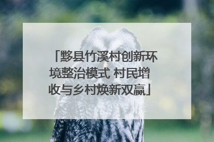 黟县竹溪村创新环境整治模式 村民增收与乡村焕新双赢