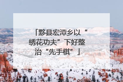 黟县宏潭乡以“绣花功夫”下好整治“先手棋”