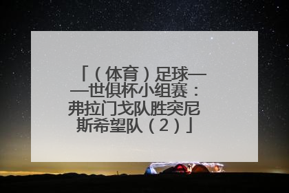 （体育）足球——世俱杯小组赛：弗拉门戈队胜突尼斯希望队（2）