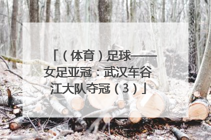 （体育）足球——女足亚冠：武汉车谷江大队夺冠（3）