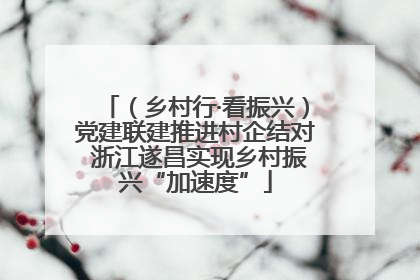 （乡村行·看振兴）党建联建推进村企结对 浙江遂昌实现乡村振兴“加速度”