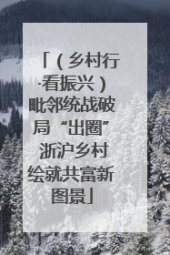 （乡村行·看振兴）毗邻统战破局“出圈” 浙沪乡村绘就共富新图景