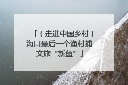 （走进中国乡村）海口最后一个渔村捕文旅“新鱼”