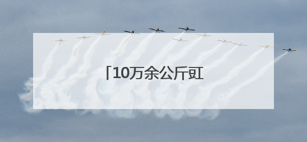 10万余公斤豇豆货款一分没少
