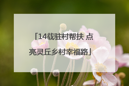 14载驻村帮扶 点亮灵丘乡村幸福路