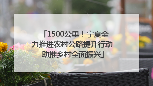 1500公里！宁夏全力推进农村公路提升行动 助推乡村全面振兴