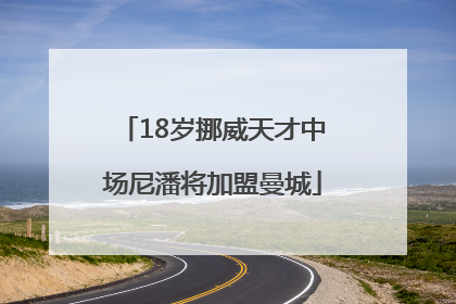 18岁挪威天才中场尼潘将加盟曼城