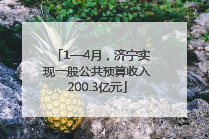 1—4月，济宁实现一般公共预算收入200.3亿元