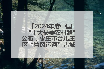 2024年度中国“十大最美农村路”公布，枣庄市台儿庄区“鲁风运河”古城文化廊道上榜！
