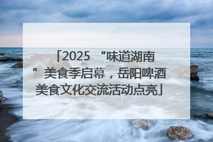 2025 “味道湖南”美食季启幕，岳阳啤酒美食文化交流活动点亮