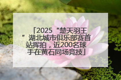 2025“楚天羽王”湖北城市俱乐部赛首站挥拍，近200名球手在黄石同场竞技