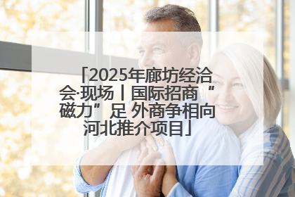 2025年廊坊经洽会·现场丨国际招商“磁力”足 外商争相向河北推介项目