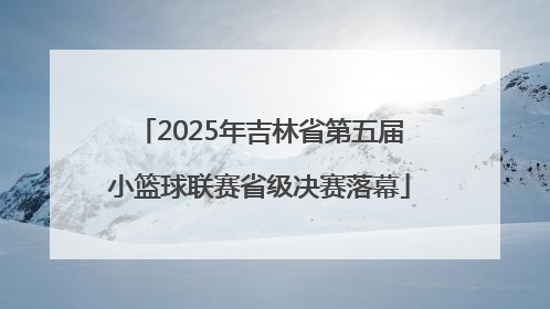2025年吉林省第五届小篮球联赛省级决赛落幕
