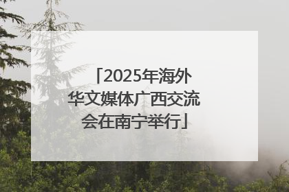 2025年海外华文媒体广西交流会在南宁举行